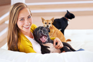 Top 5 Dog Behavior Myths